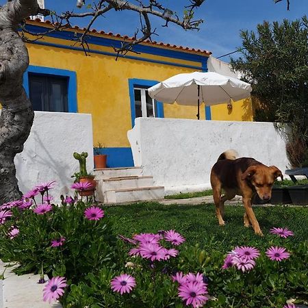 Villa Monte da ti Luzia Distretto di Distretto di Faro Esterno foto