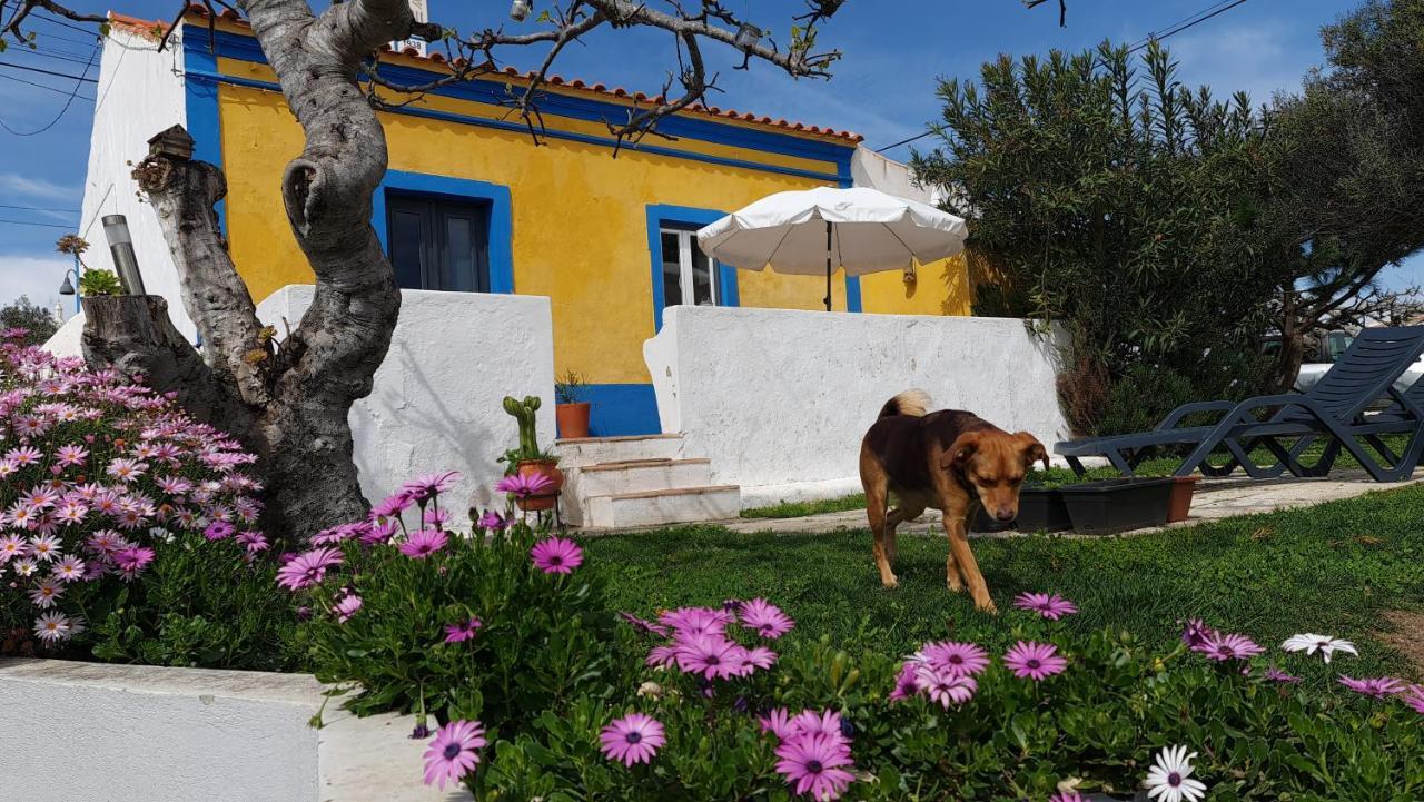 Villa Monte da ti Luzia Distretto di Distretto di Faro Esterno foto