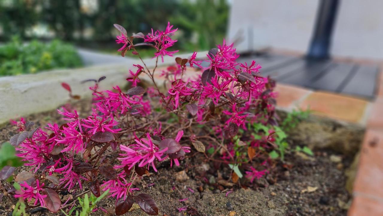 Villa Monte da ti Luzia Distretto di Distretto di Faro Esterno foto